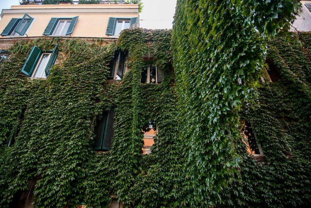 Colosseum/Panisperna Nina Apartament With Terrace 로마 외부 사진
